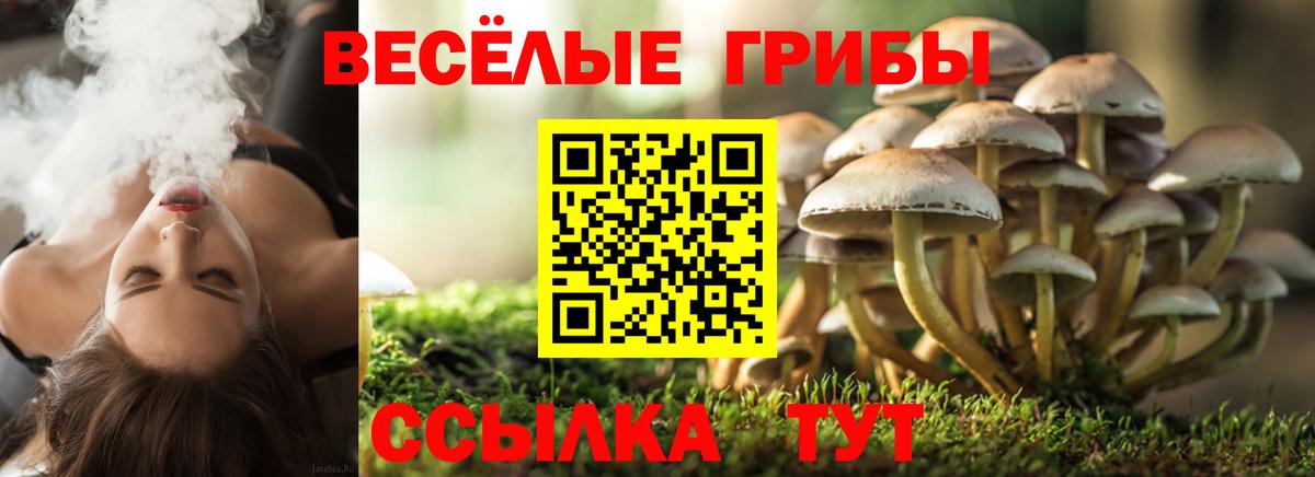 Галлюциногенные грибы Magic Shrooms Воронеж