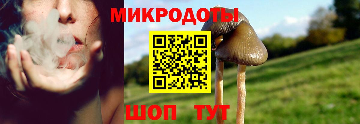 Галлюциногенные грибы MAGIC MUSHROOMS  Вход с VPN  Воронеж 